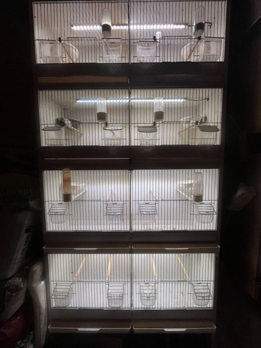 Regał dla kanarków,egzotyki.