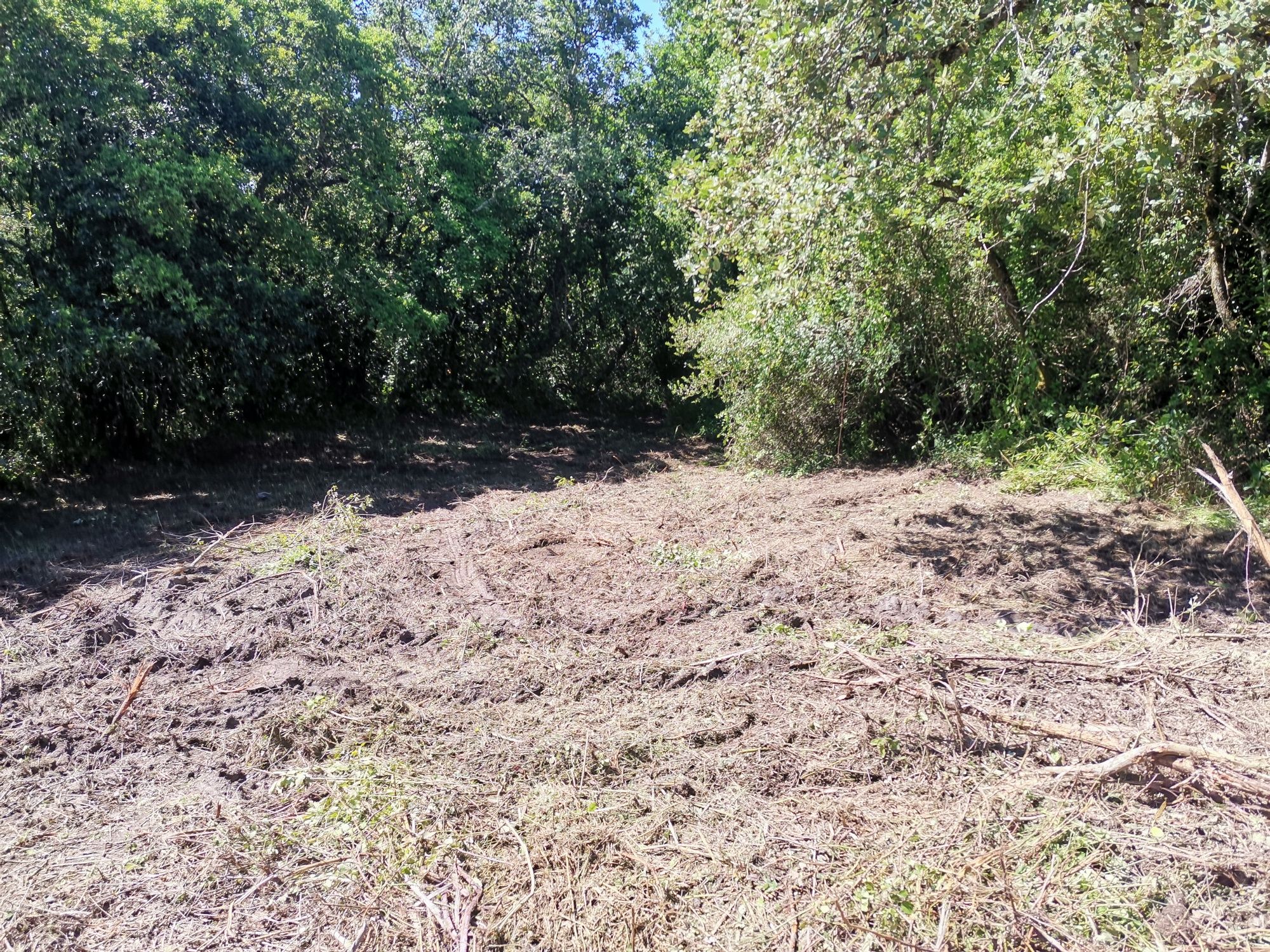 Limpeza de terrenos e jardins