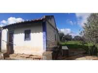 Olival com habitação na Várzea de Grândola