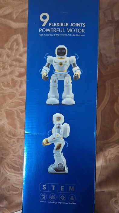 Розумний робот Ruko (Smart Robots Carle 1088)