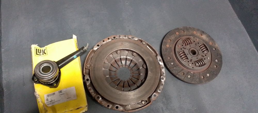 Продам щеплення віваро 1.9