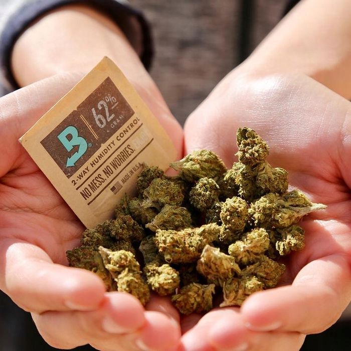 Boveda 62% 4G Saszetka Regulator Wilgotności Susz