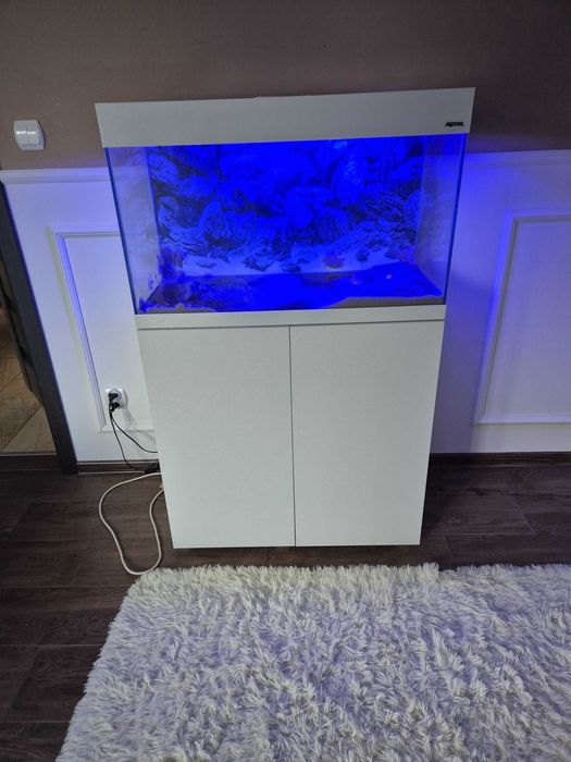 Akwarium Zestaw Aquael 125 L