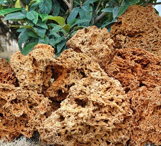CZERWONY KAMIEŃ WAPIEŃ Skała Wapienna Tanganika Malawi Spaghetti Łazy