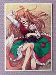Złota karta festiwalowa WFM Wiosenny Festiwal Mangowy Spice & Wolf