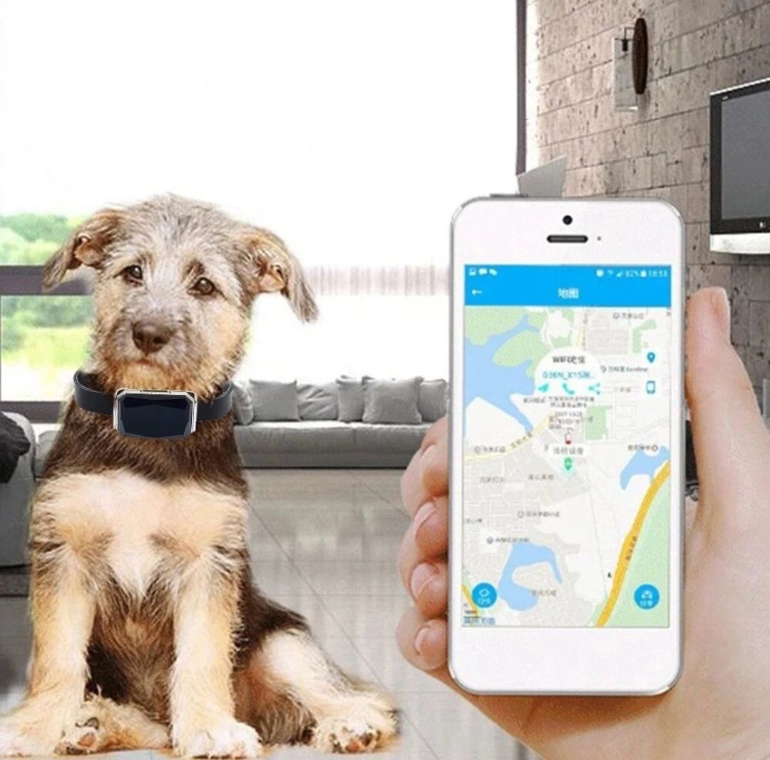 Rastreador/Localizador GPS de animais, crianças carro IP67 NOVO