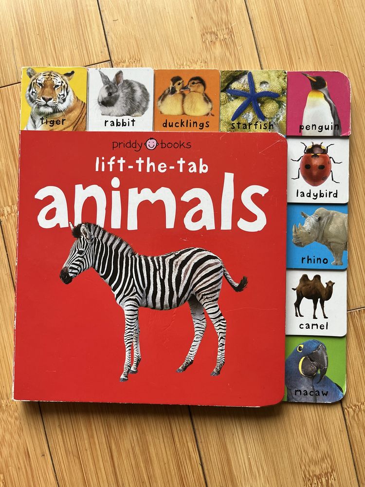 Książeczka Animals, o zwierzętach po angielsku