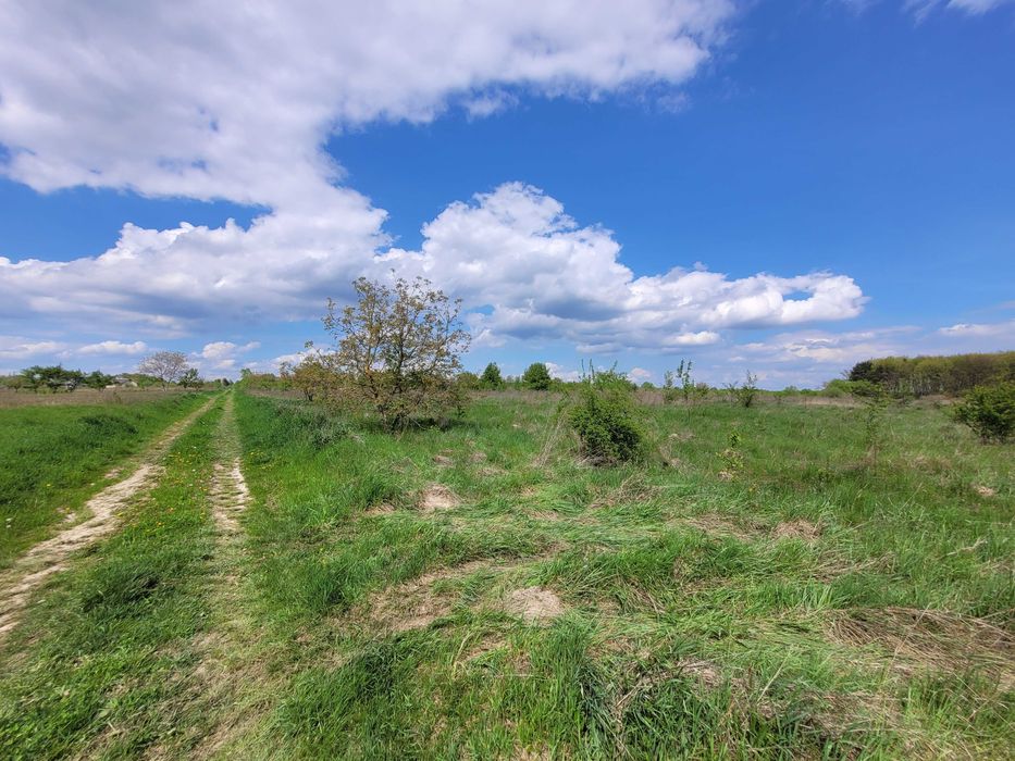 Земельна ділянка 18 сот в Колодіївці під будівництво