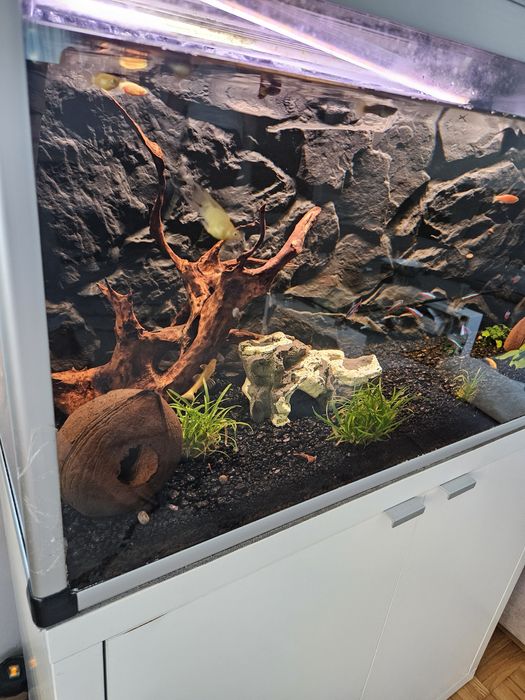 Sprzedam alwarium z całym osprzętem