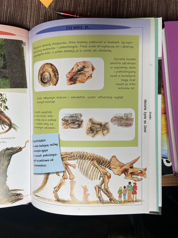 Dinozaury, Gady, Płazy ( w królestwie zwierząt )  ((Aksjomat))