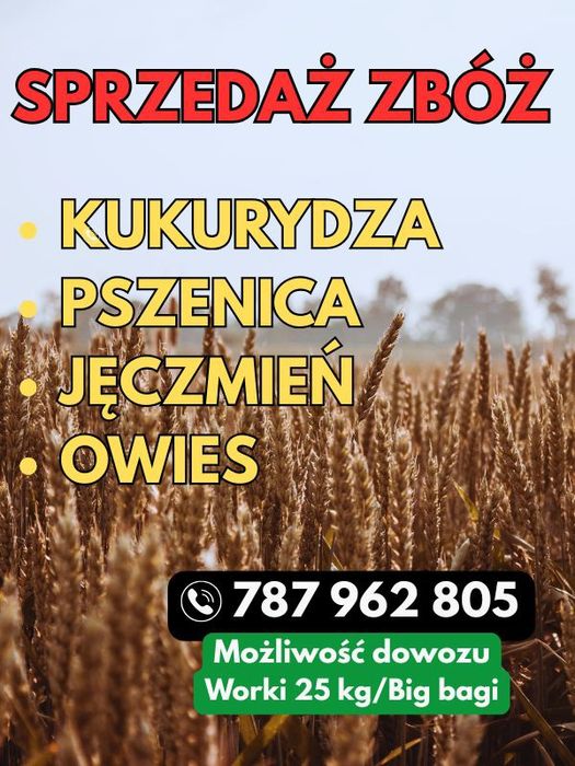 Kukurydza, pszenica, jęczmień, owies worki big bagi