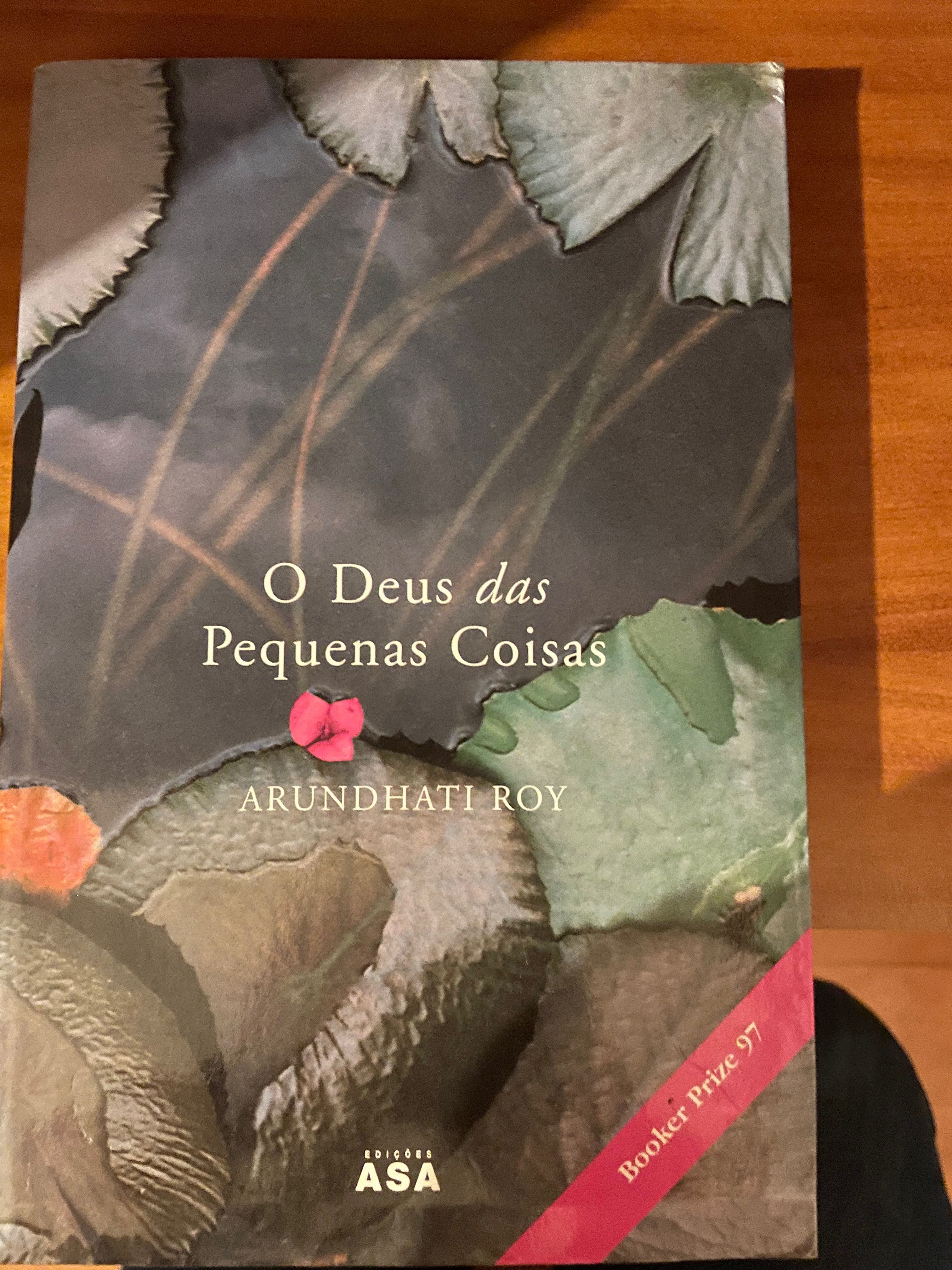 Livro O Deus das pequenas coisas