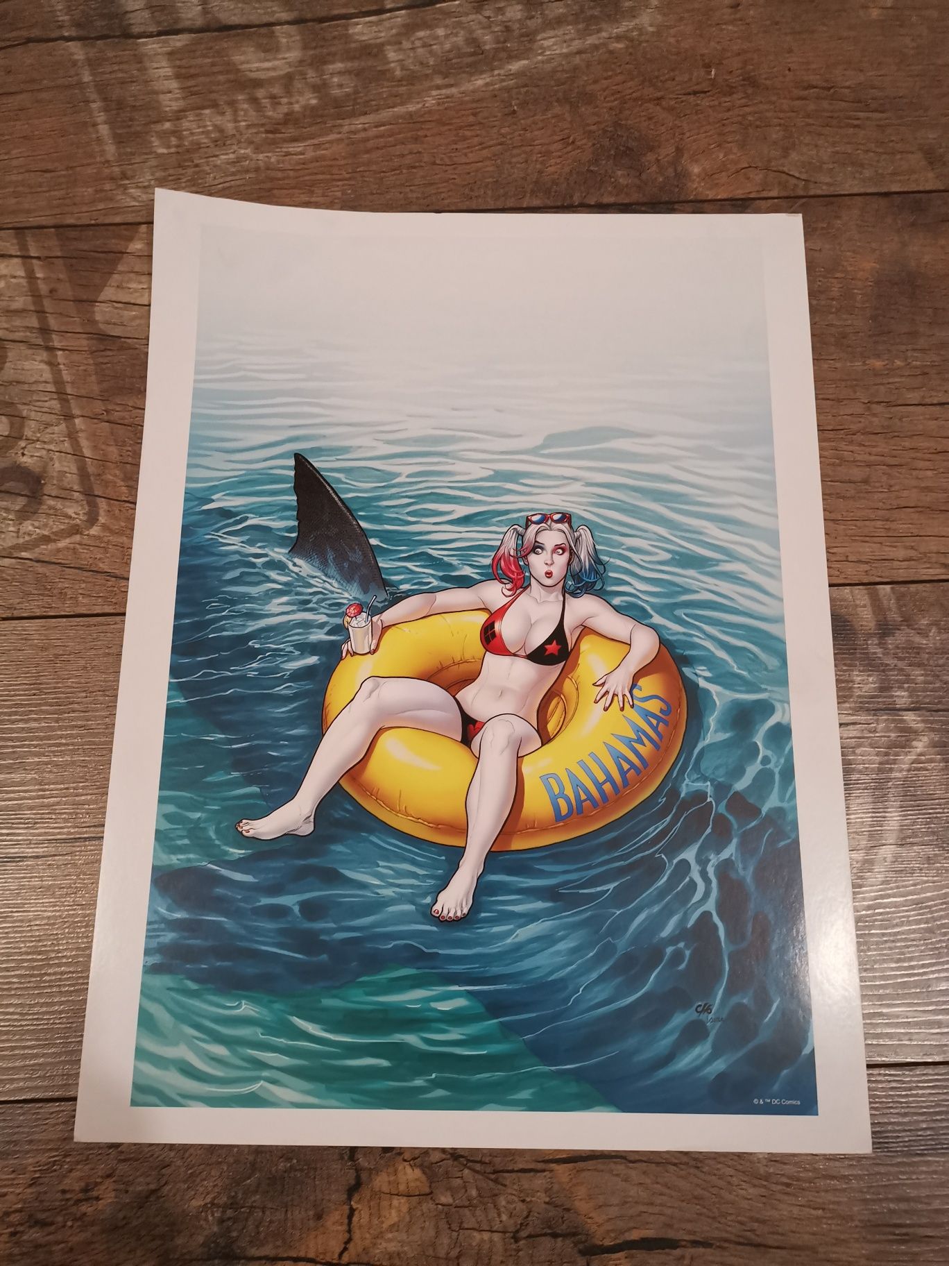 Album Frank Cho Poster DC Portfolio