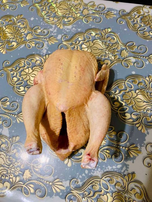 Кури домашні цілі та роздріб