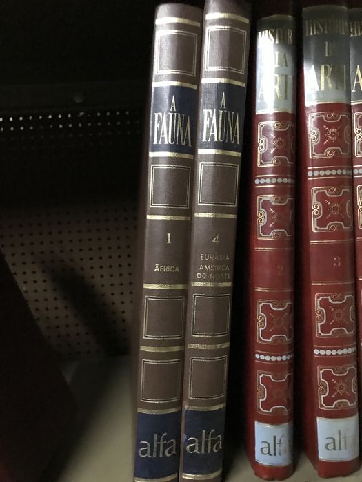 Livros: História da Arte / A Fauna / Obras de Victor Hugo desde...