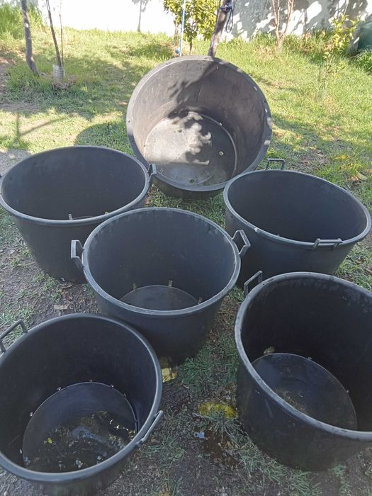 Vasos grandes robustos para árvores e plantas de grande porte