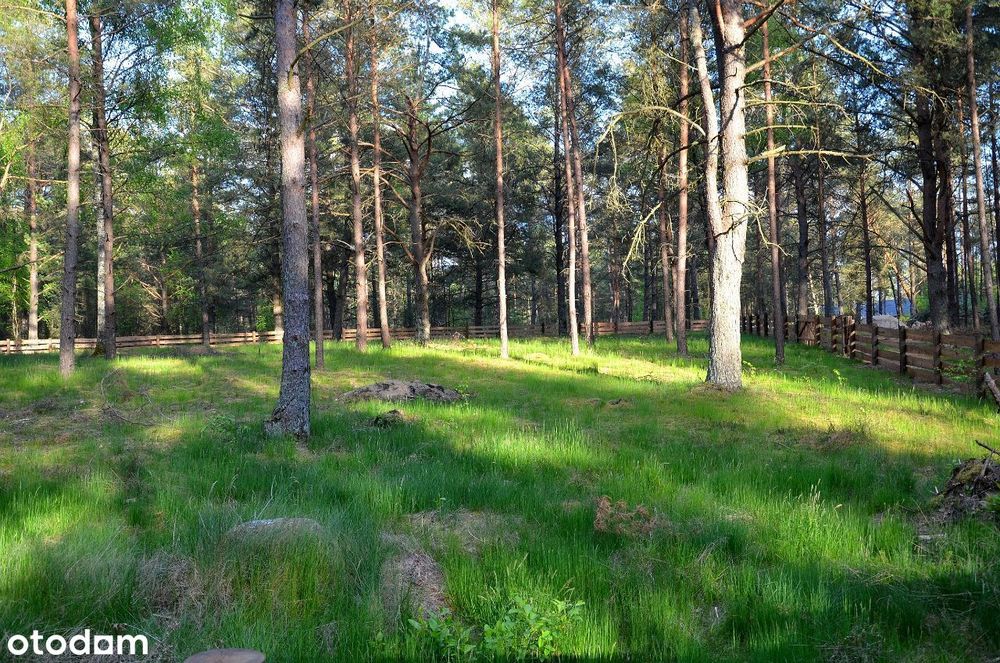 Działka budowlana w Borsku nad jeziorem Wdzydze