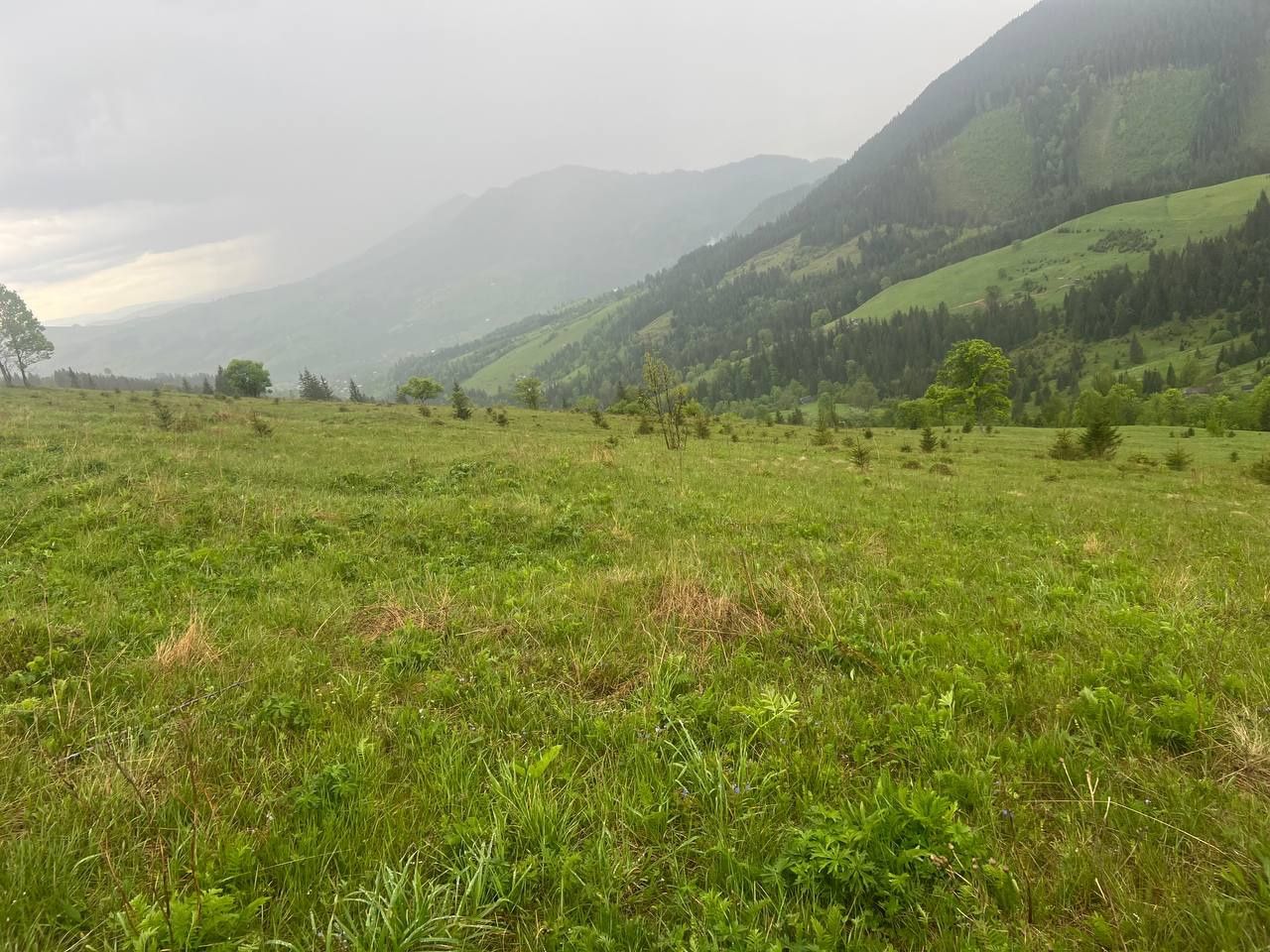 Продається земельна ділянка