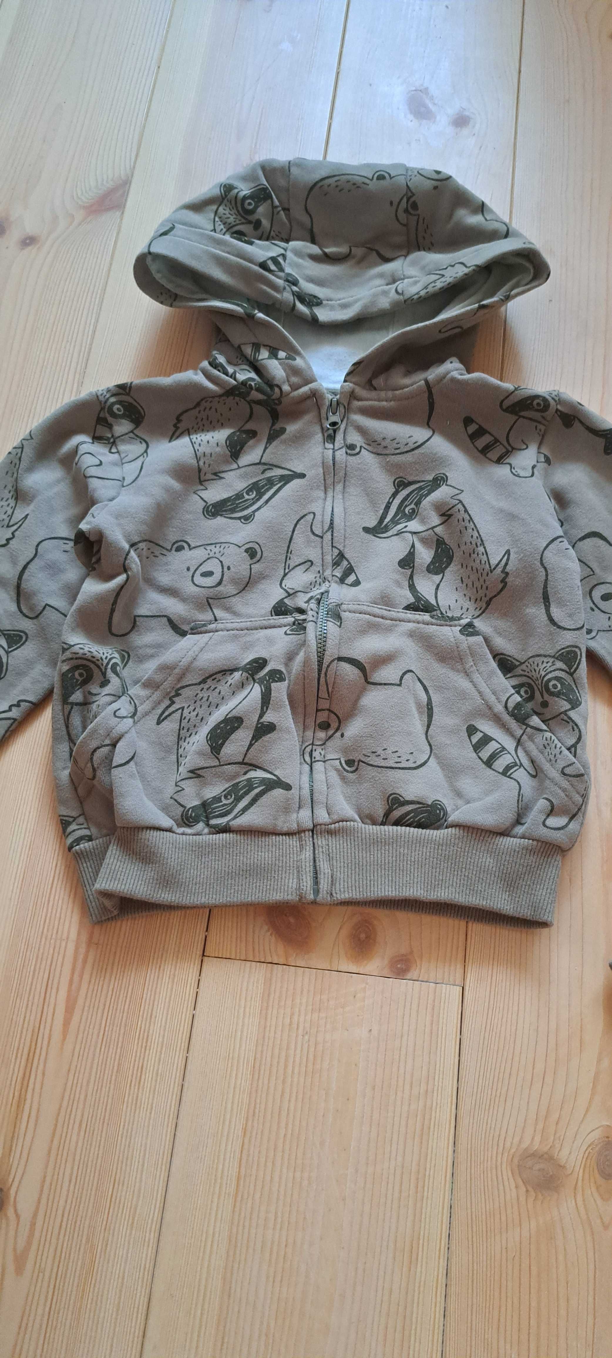 110. COOL CLUB rewelacyjny dres dla chłopca khaki szopy