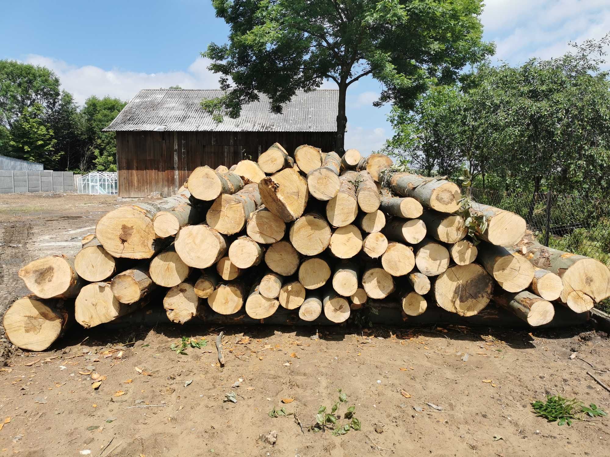 Drewno Opałowe Kominkowe Buk Grab Sezonowany Transport