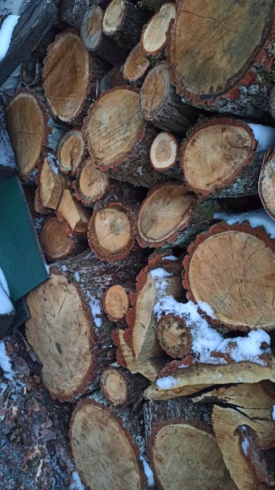 Dąb Brzoza Drzewo Drewno SUCHE SUCHA  Opał Kominkowe Kominek