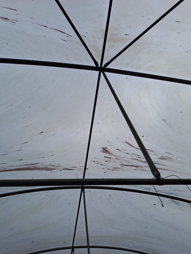 Estufa como nova 20x50m