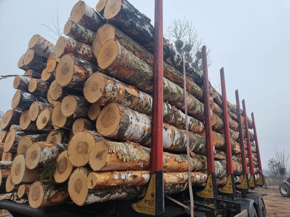 Drewno brzoza, olcha,  dąb, grab,sosna...