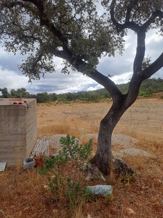 Arrenda-se terreno com furo