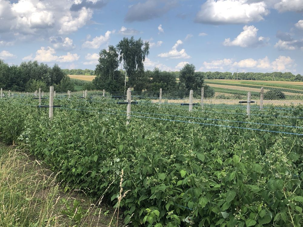 Продається дачний будинок