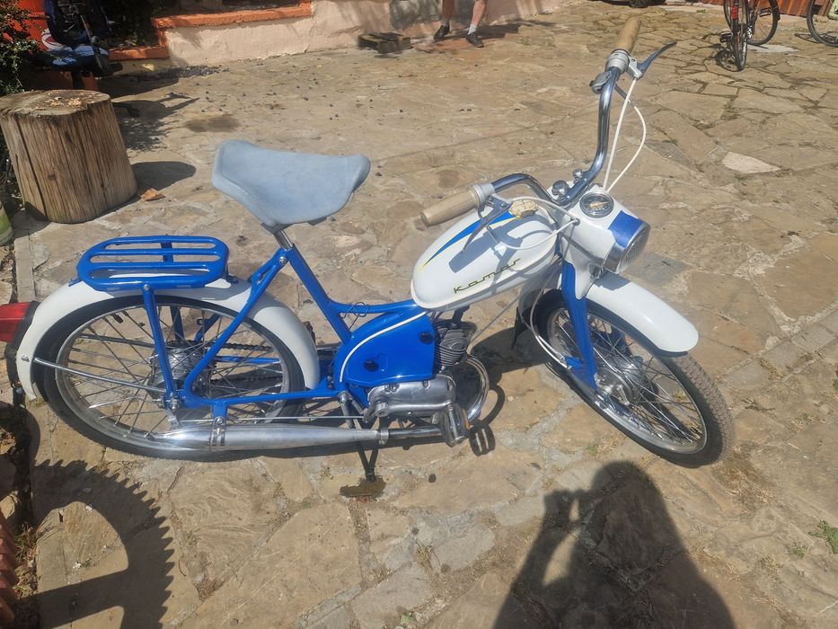 Komar sztywniak 2320