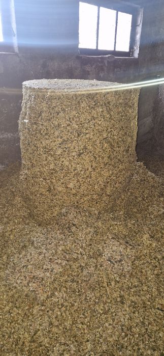 Sprzedam tegoroczne bele kukurydzy