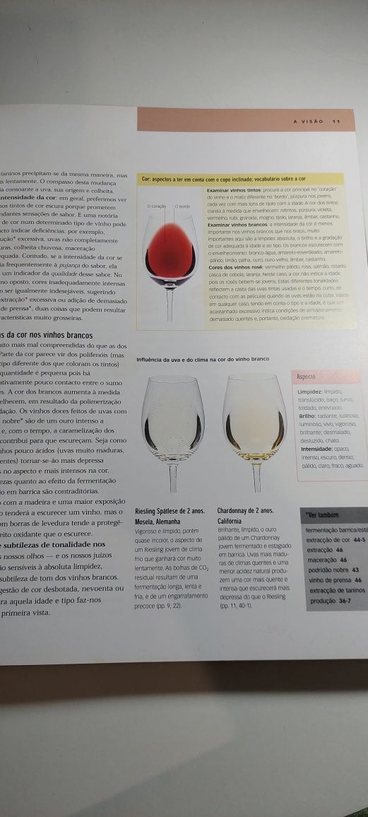 O Essencial sobre a Prova - Michael Schuster (Vinhos)