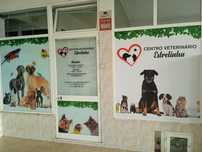 Centro Veterinário em Portimão