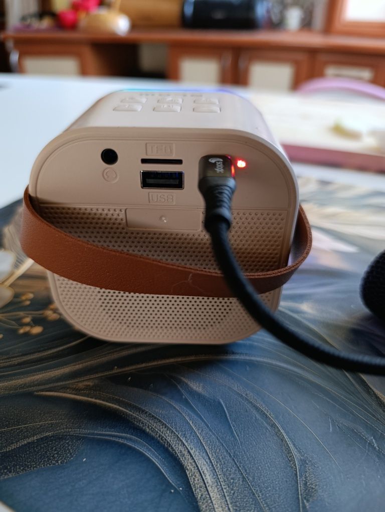 Głośnik Bluetooth i Karaoke RGB