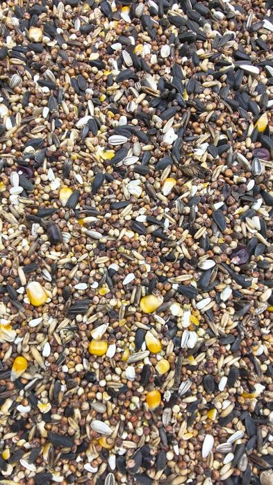 Mieszanka dla Bażantów, pawi kuropatwy i innych(bez pszenicy i jęczmie