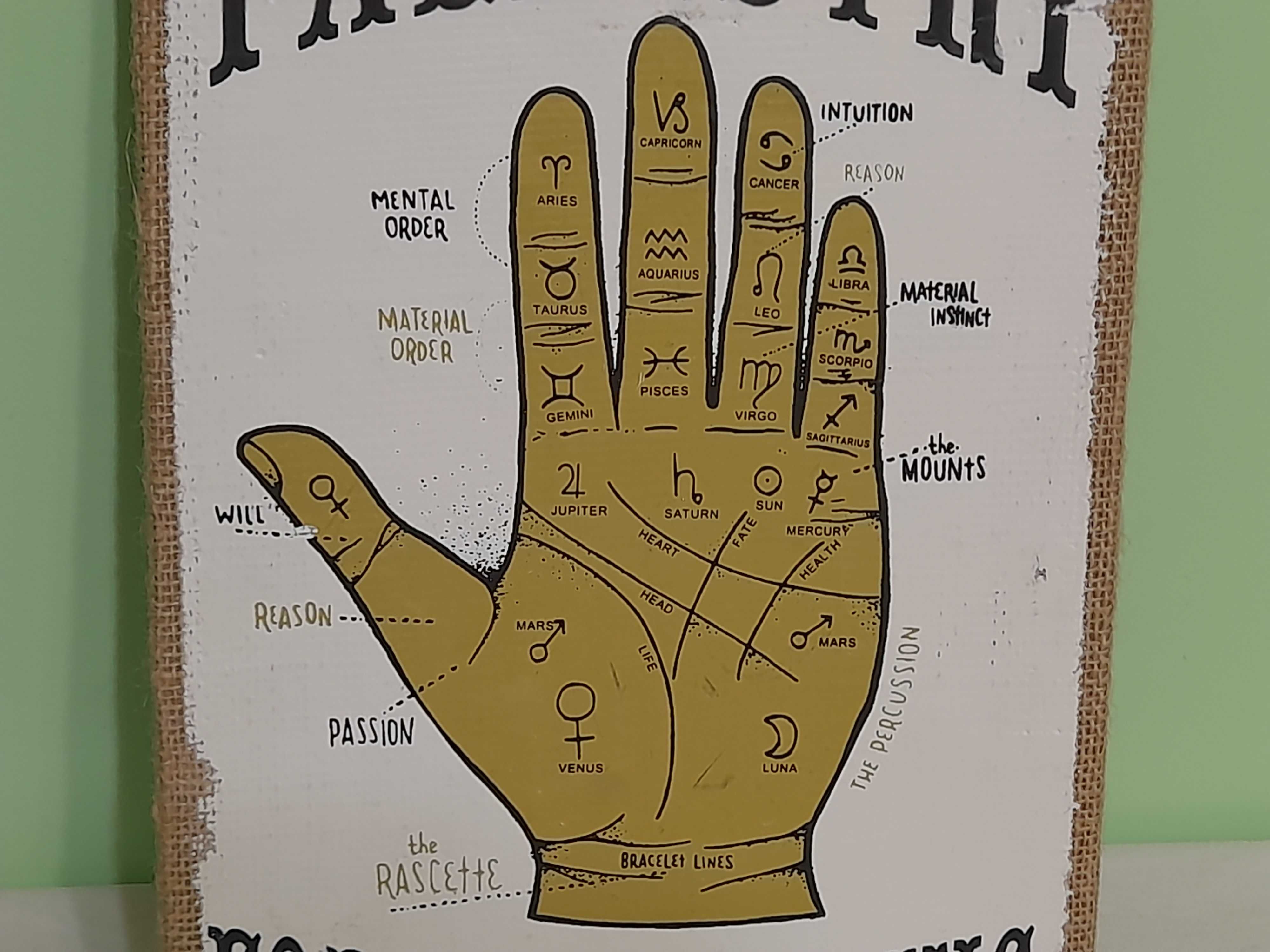 хіромантія Palmistry Fortune Telling , Wimblodon -L\XL жилет