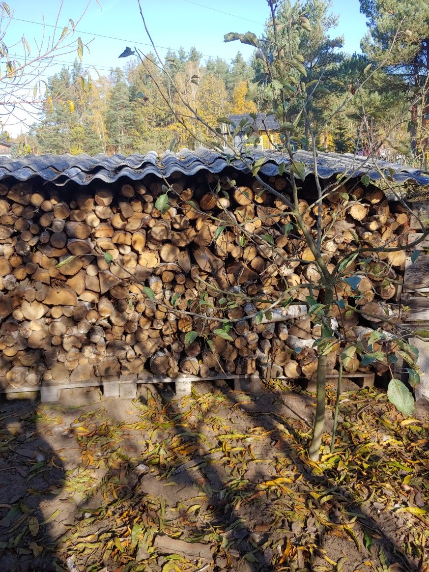 drewno kominkowe i opałowe