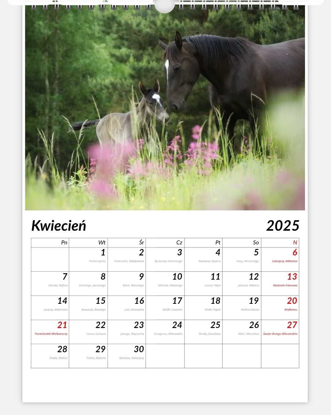 Fotokalendarz konie