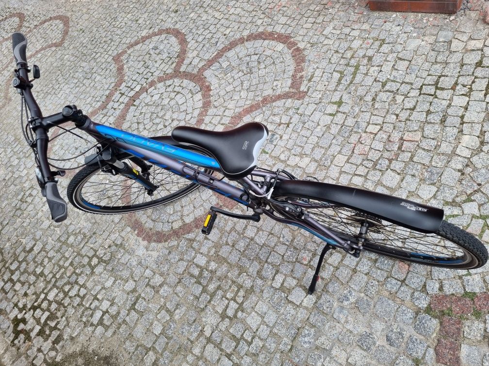 Cross Evado 2.0 19' M Rower