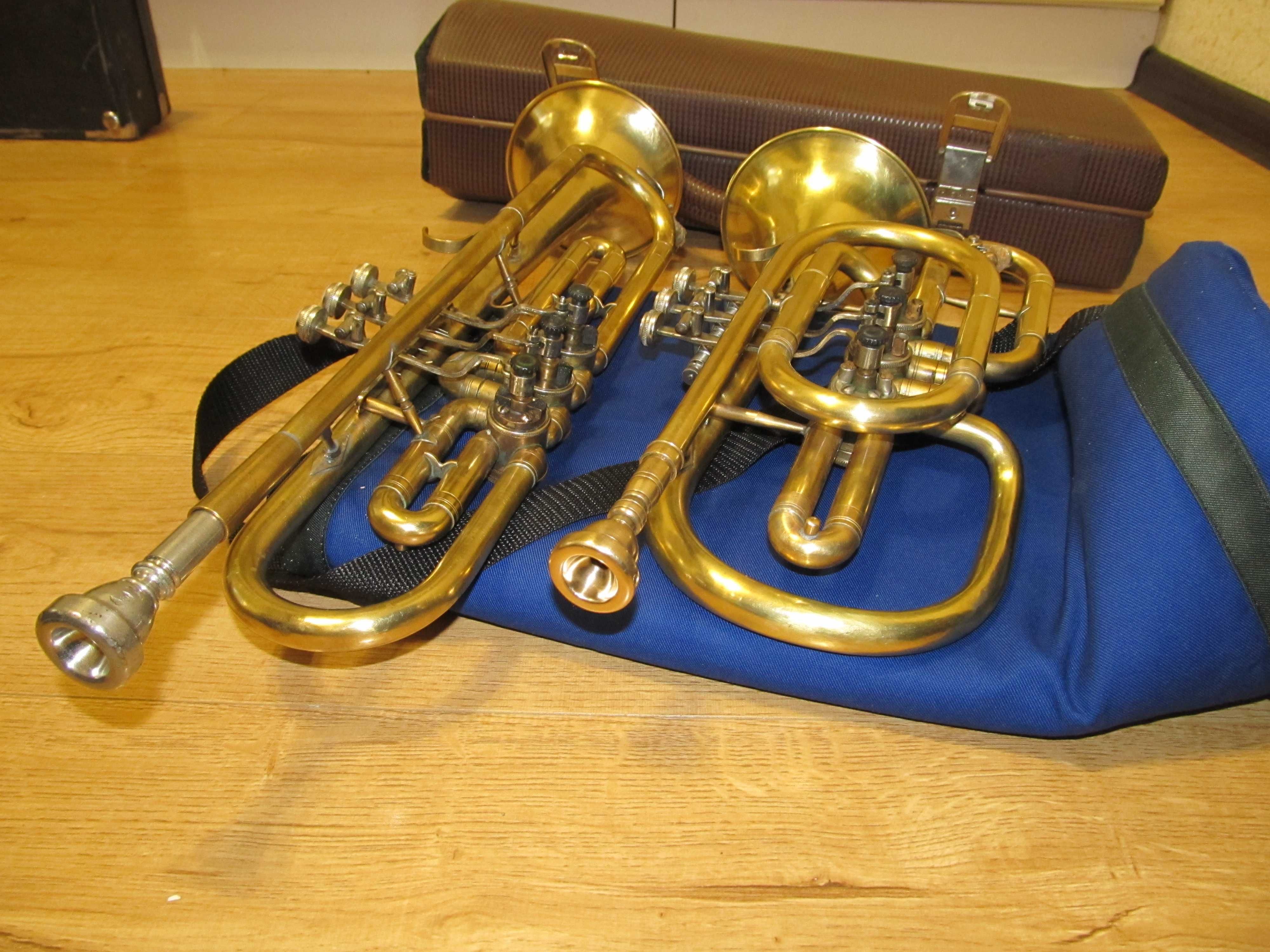 Духова труба Trumpet Valve Case + мундштук