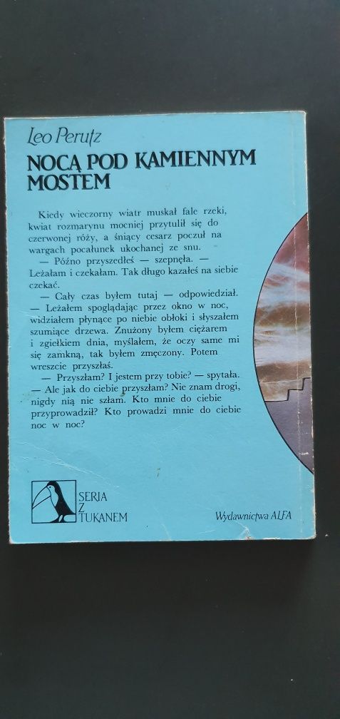 Nocą pod kamiennym mostem