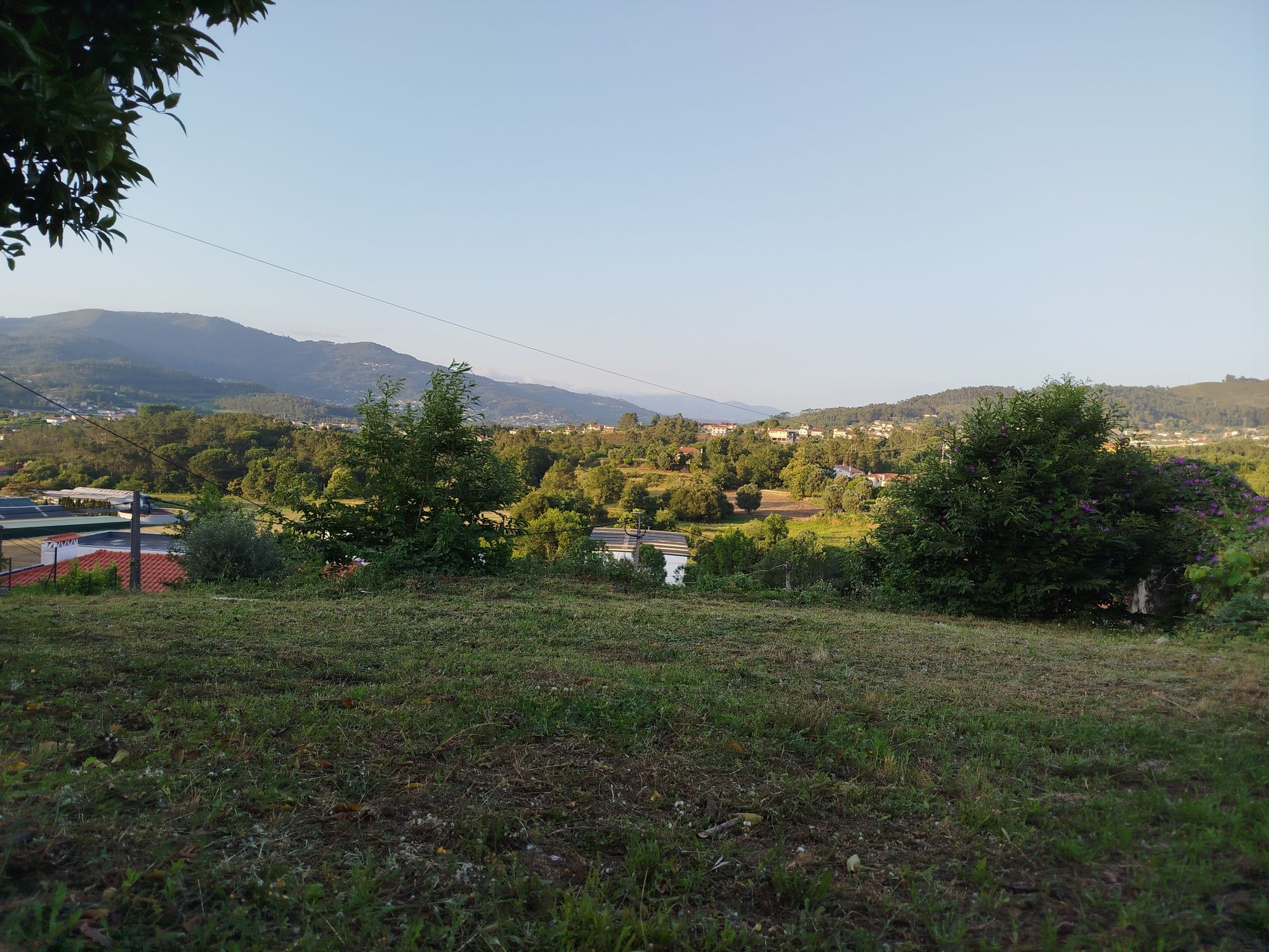 Terreno P.Lima com ruina, ao lado parque da vila, centro, projeto apro