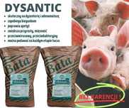 Dysantic 25KG-pomoc zwalczaniu BIEGUNEK_DYZENTERII u trzody na APETYT