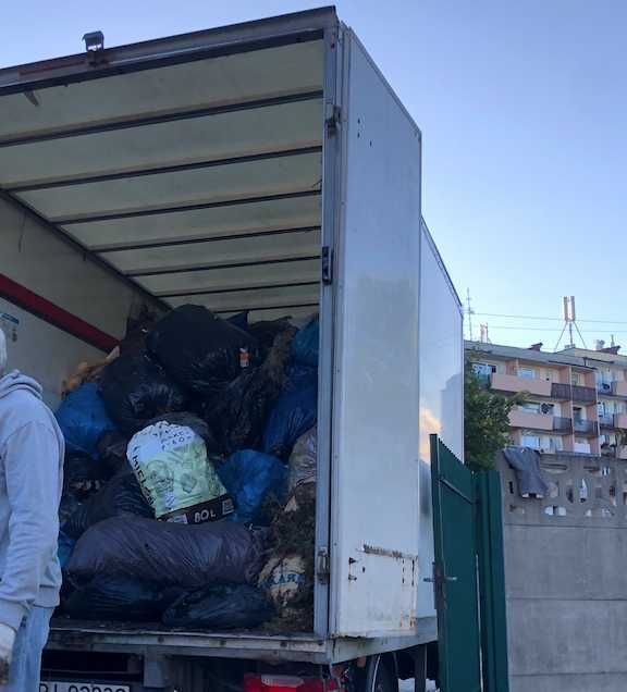 WYWÓZ odp. zielonych Przycinanie Tui i Drzewek Koszenie TRAWY