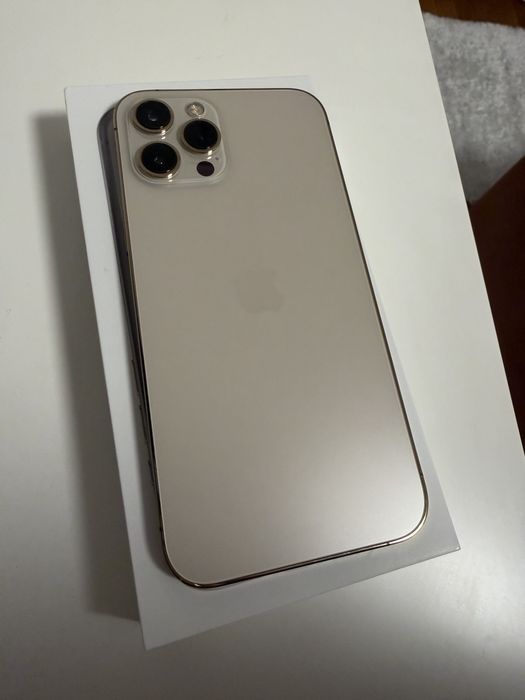 Iphone 12 Pro Max 256Gb