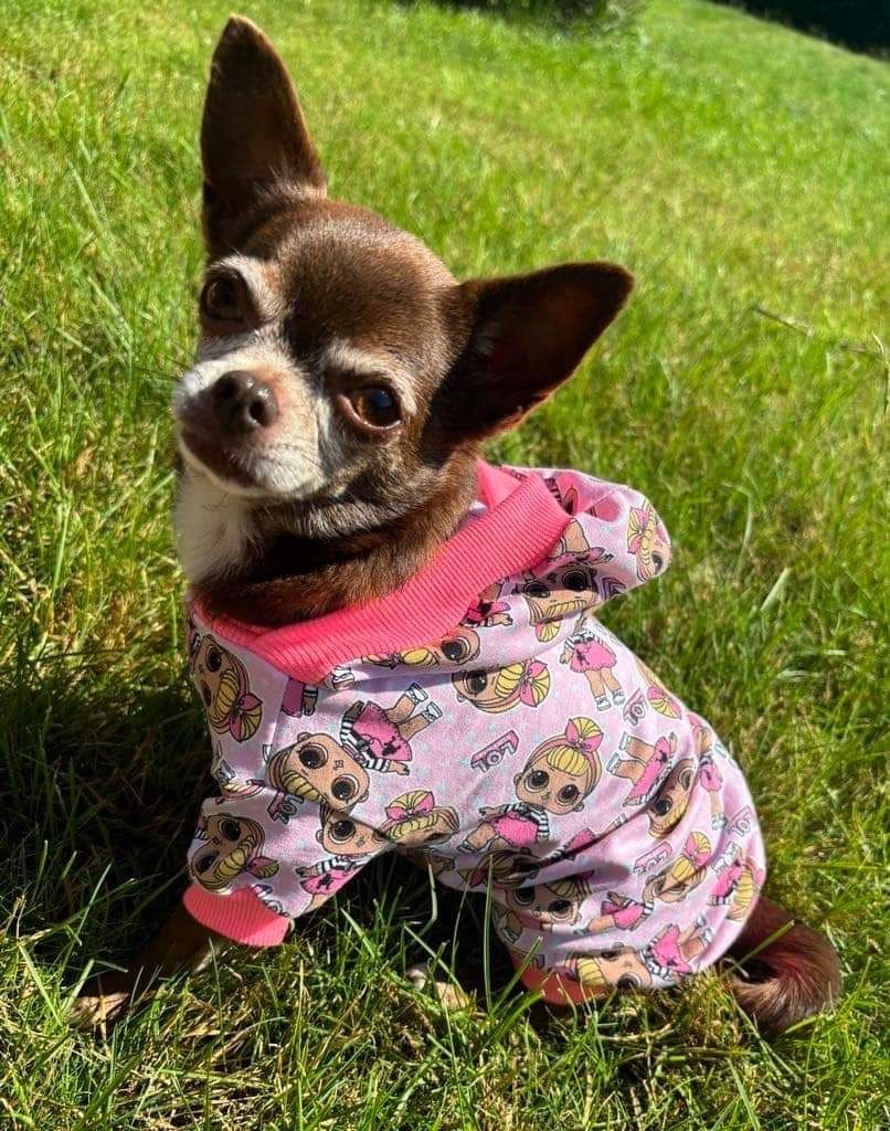 Bluza dresowa  ubranko dla psa mops grzywacz york na miare