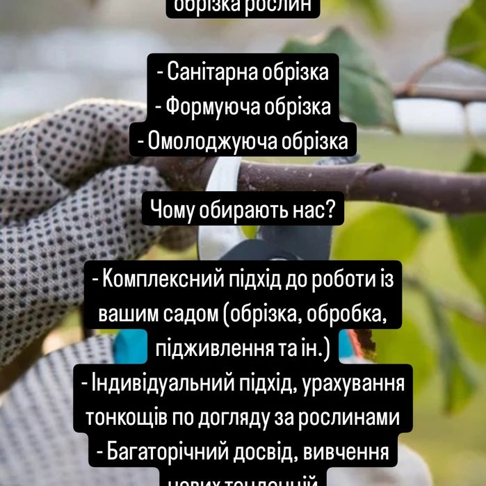 Обрізка дерев, покос трави і прибирання території