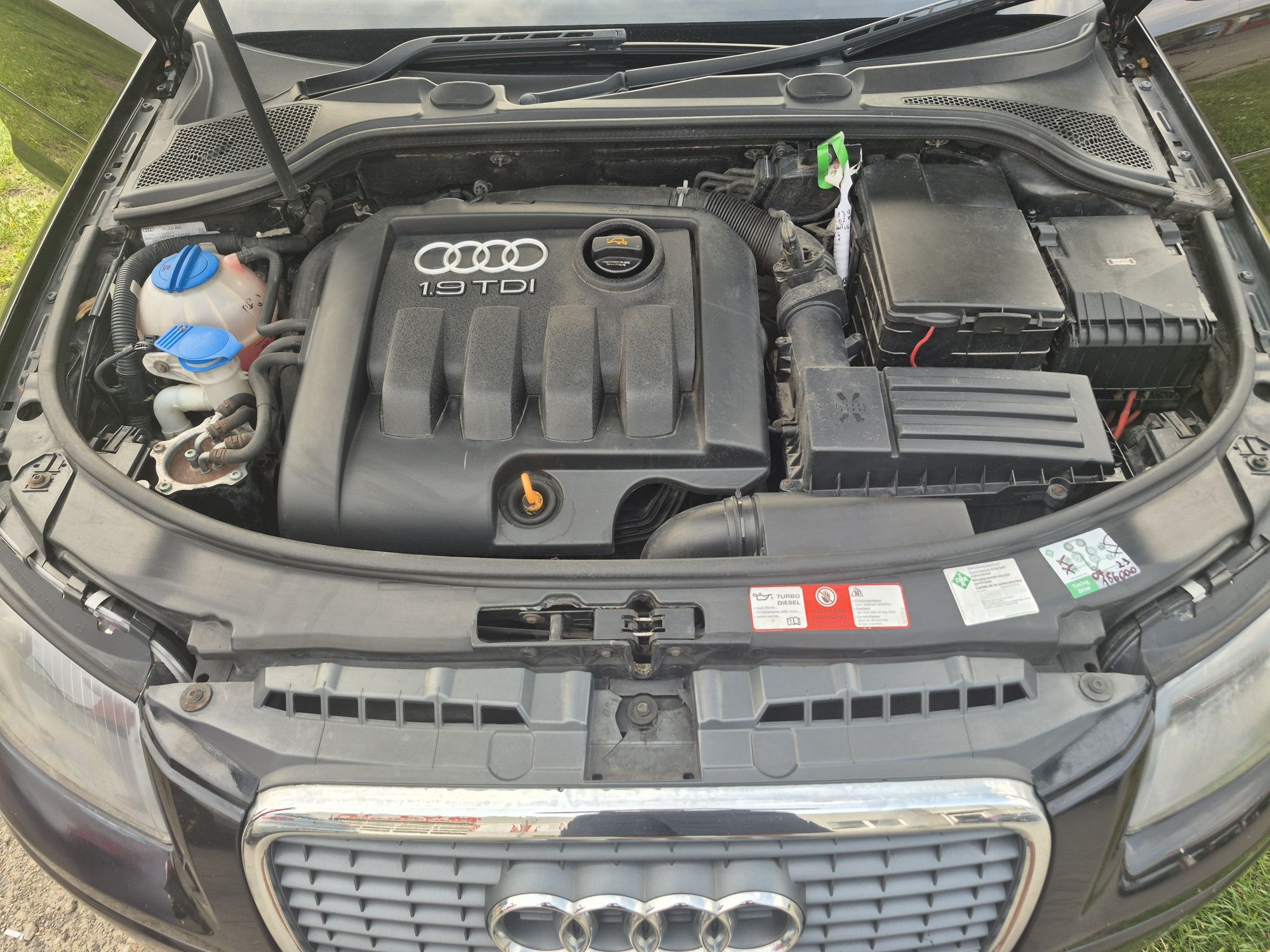 Audi A3 8P 2005r 1.9 tDi Anglik