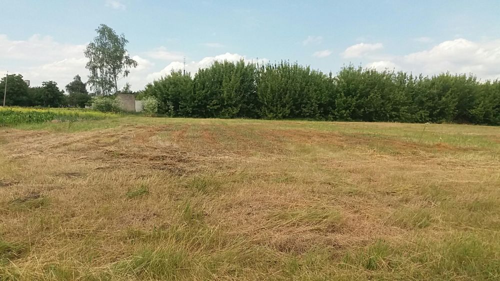 Земельна ділянка під будівництво, Бобровиця, участок для строительства