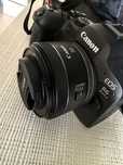 Canon r6 mark 2 + 50mm